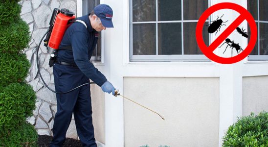 Varto Akrep İlaçlama böcek ilaçlama ve haşere kontrolü — ilaclama-tr.com